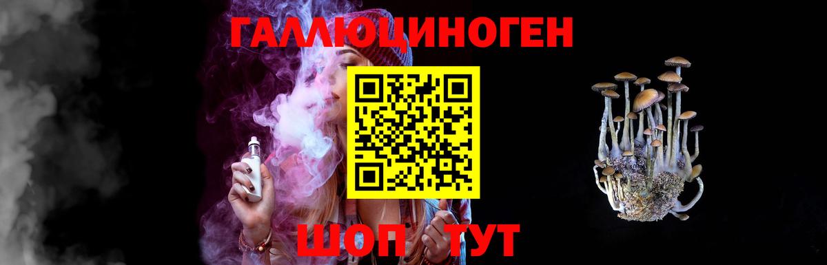 Полысаево  Псилоцибиновые грибы Psilocybine cubensis  наркотики  Вход с VPN 